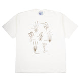 Graphic Tee- Natural 'Grow Your Garden'